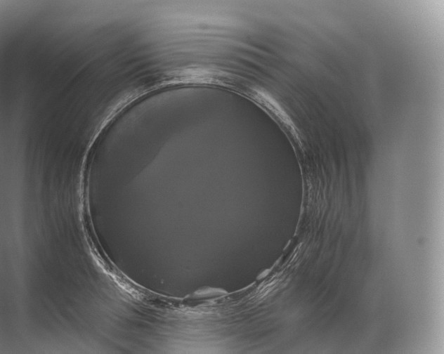 X0000071780994200607150050