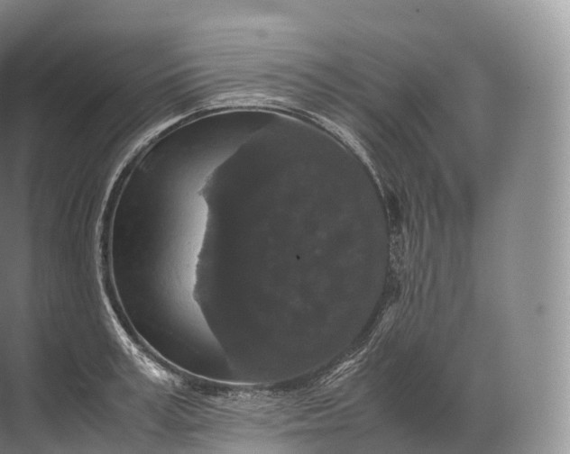 X0000071780995200607150050