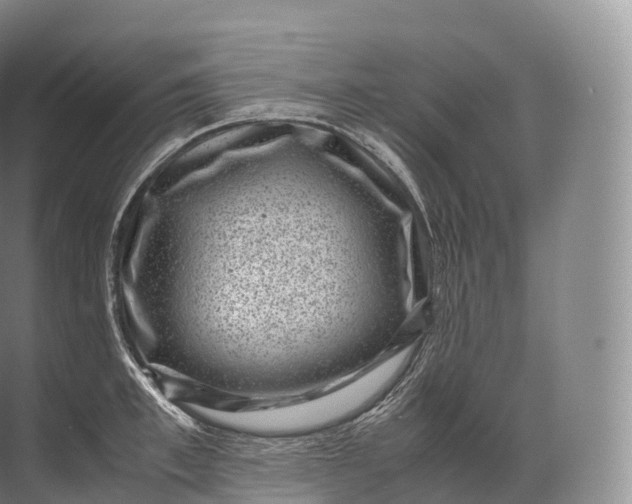 X0000071780997200607150050