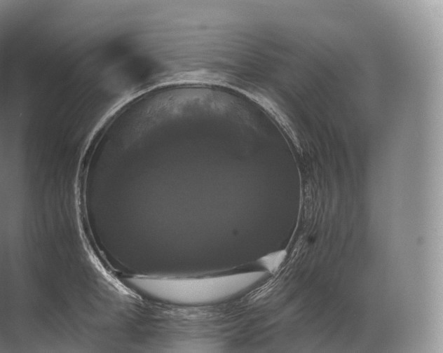 X0000071780998200607150050