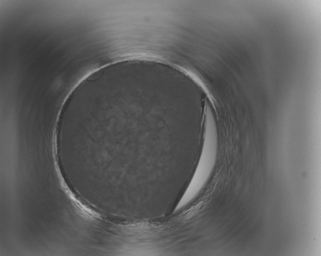 X0000071780999200607150050