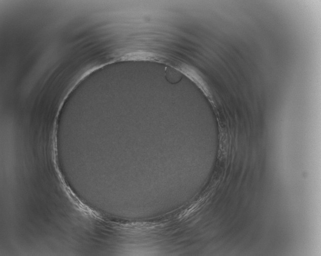 X0000071781000200607150050