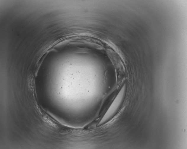 X0000071781001200607150050