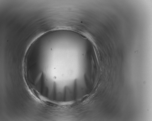 X0000071781003200607150050