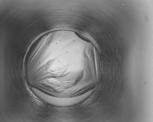 X0000071781004200607150050