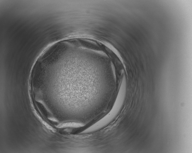 X0000071781005200607150050