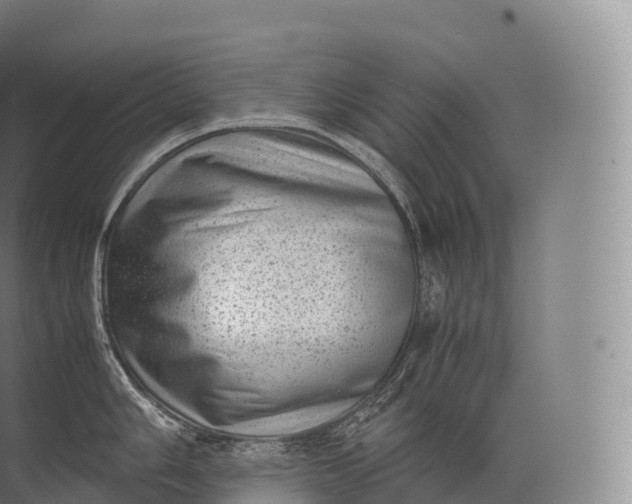 X0000071781006200607150050