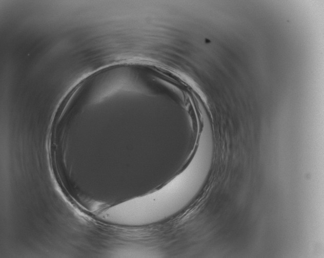 X0000071781007200607150050