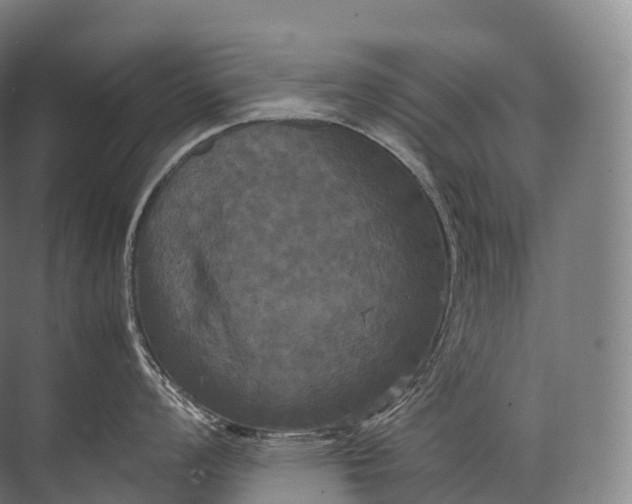 X0000071781008200607150050