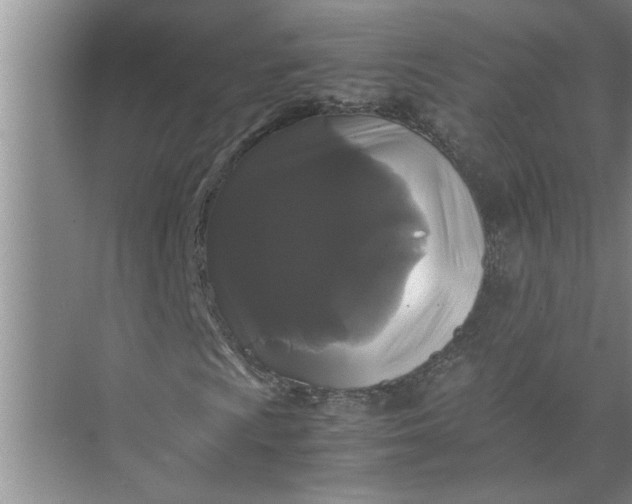 X0000071781009200607150049