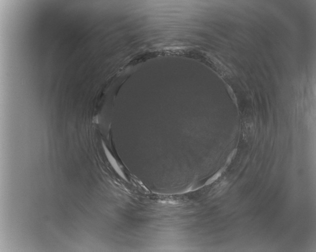 X0000071781010200607150049