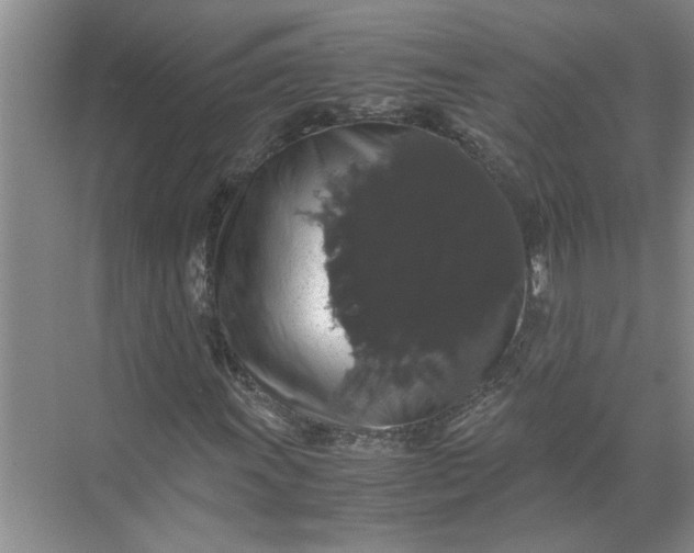 X0000071781011200607150049