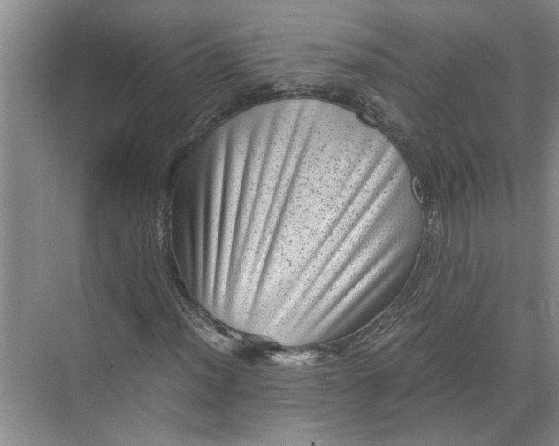 X0000071781012200607150049