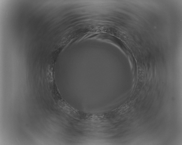 X0000071781013200607150049