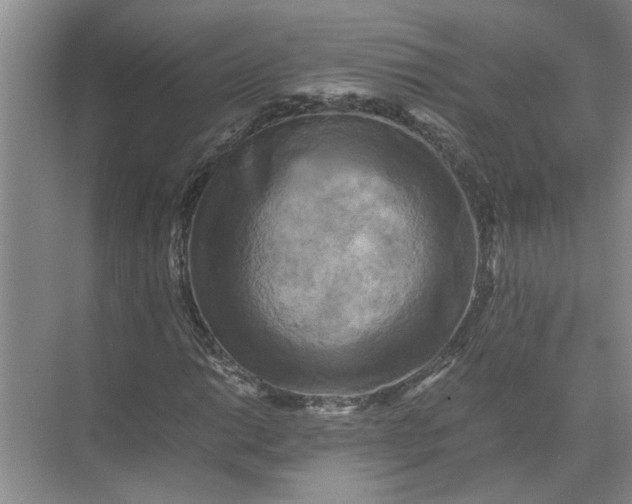 X0000071781014200607150049