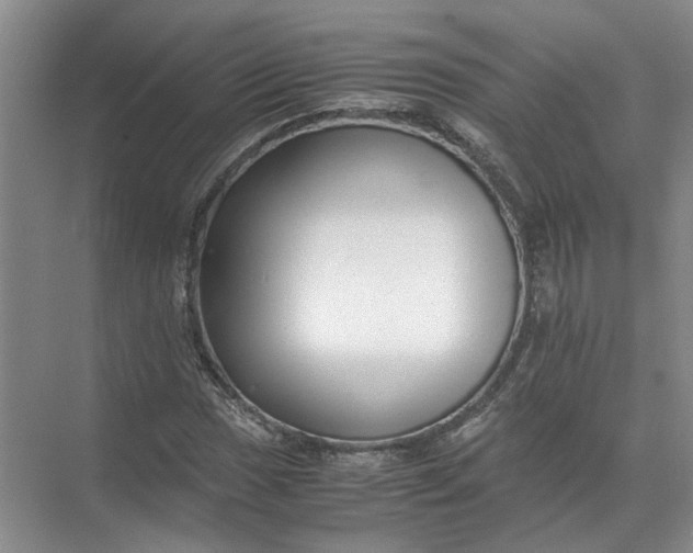 X0000071781017200607150049