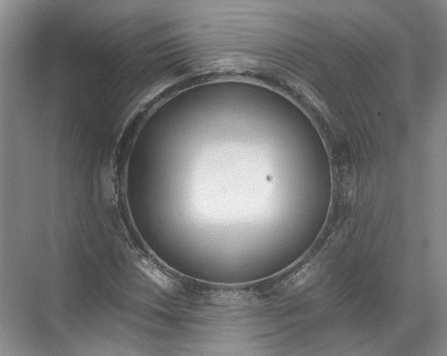 X0000071781018200607150049