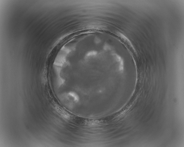 X0000071781019200607150049