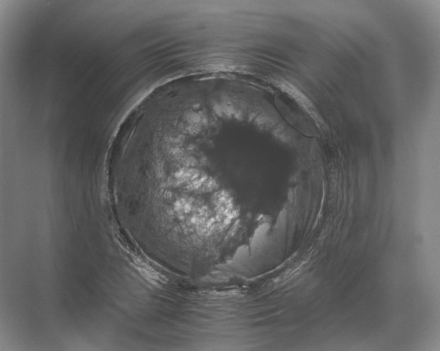 X0000071781023200607150049