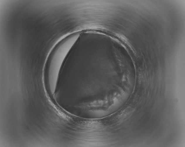 X0000071781024200607150049