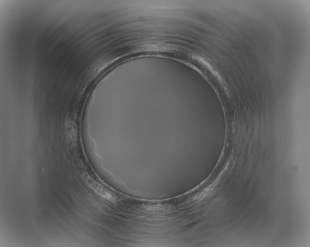 X0000071781025200607150049