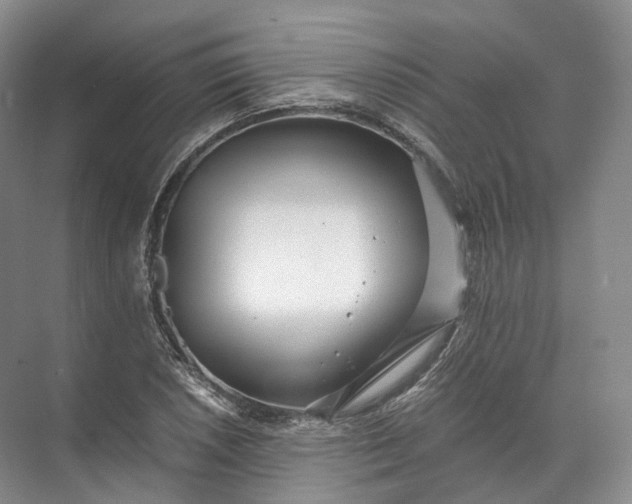 X0000071781026200607150049