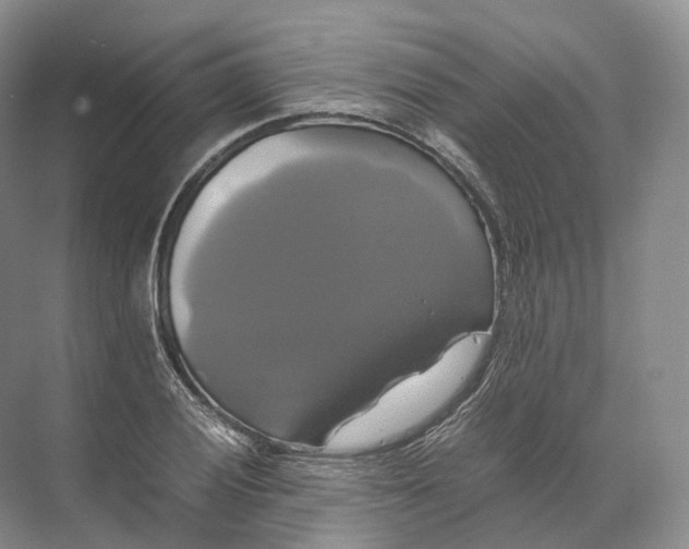 X0000071781028200607150049