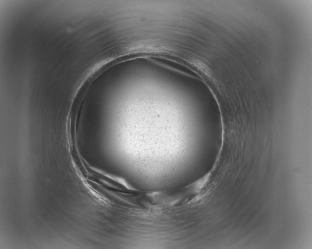 X0000071781030200607150049