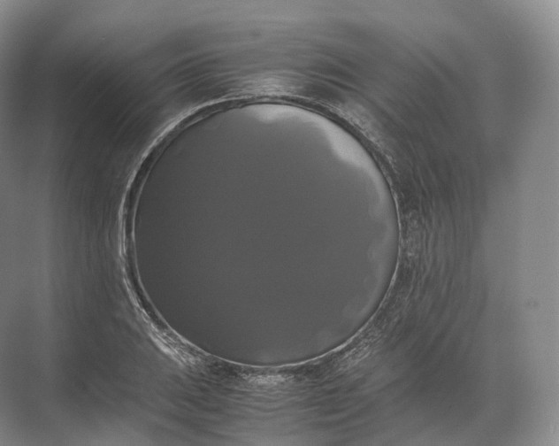 X0000071781031200607150049