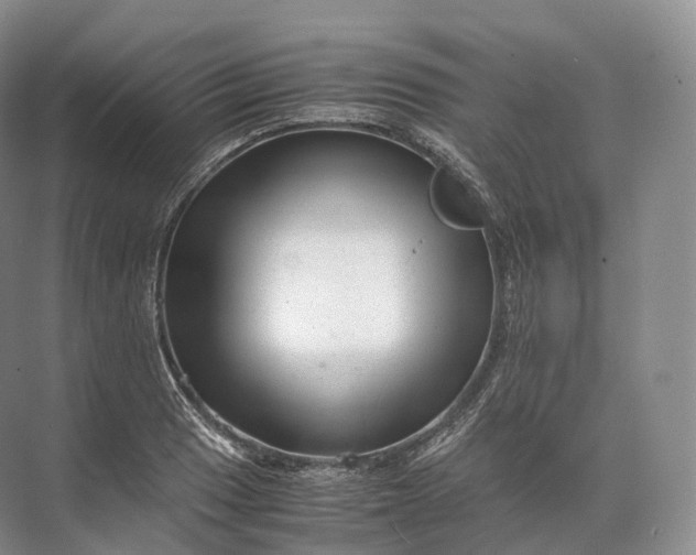 X0000071781033200607150049