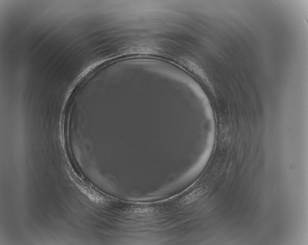 X0000071781035200607150049