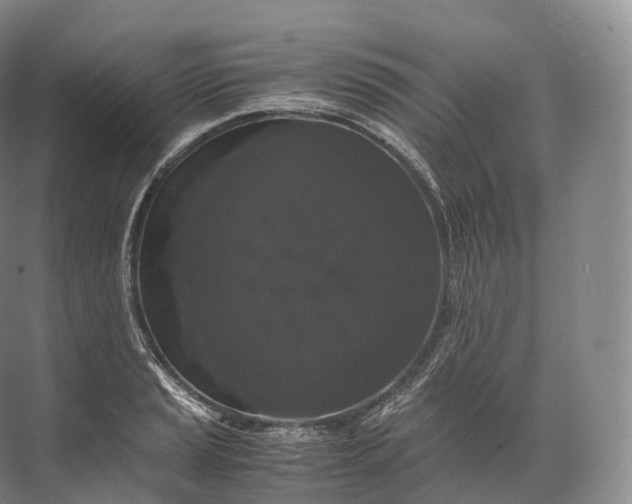 X0000071781037200607150049