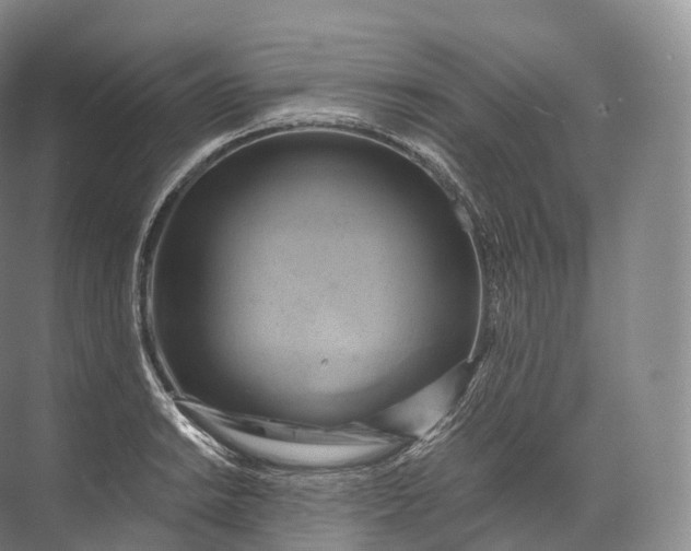 X0000071781038200607150050