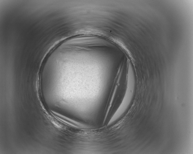 X0000071781040200607150050