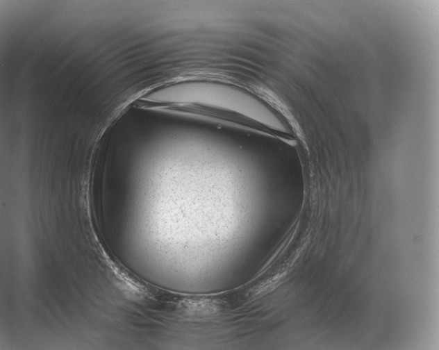 X0000071781041200607150050