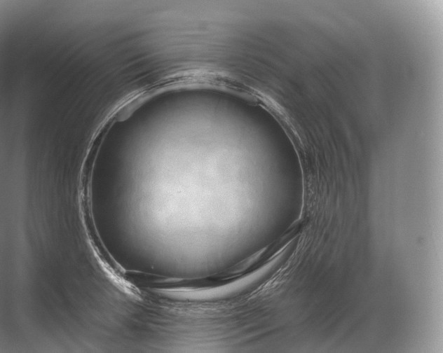 X0000071781042200607150050