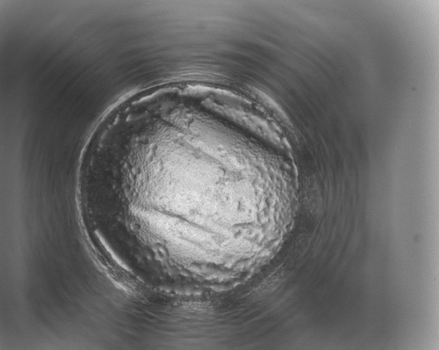 X0000071781043200607150050