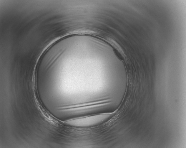 X0000071781044200607150050