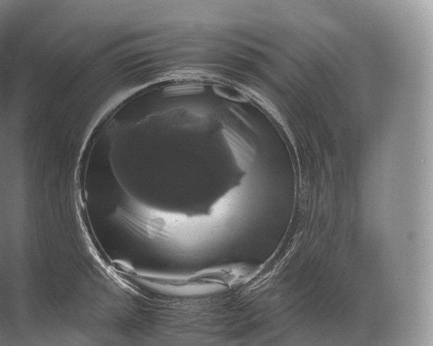 X0000071781045200607150050