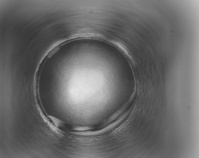 X0000071781046200607150050