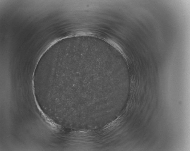 X0000071781047200607150050