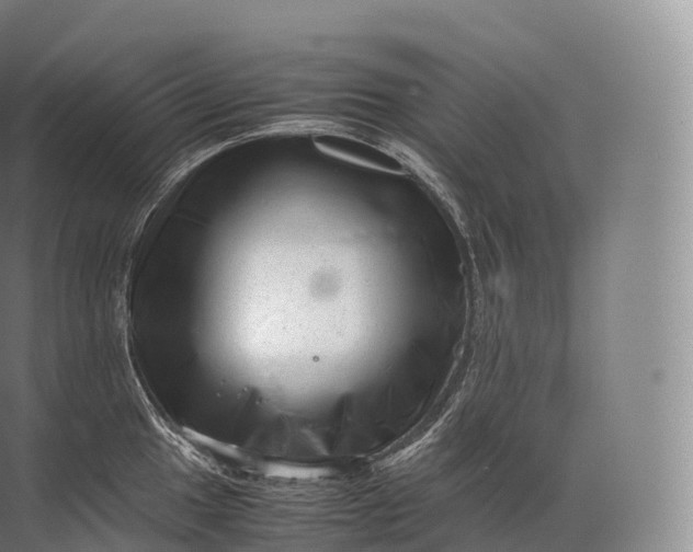 X0000071781049200607150050