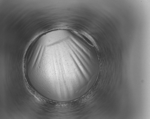 X0000071781051200607150050