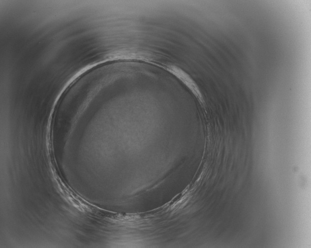 X0000071781052200607150050