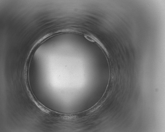 X0000071781053200607150050