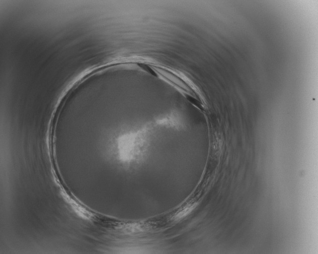 X0000071781054200607150050