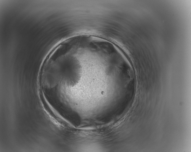 X0000071781056200607150050