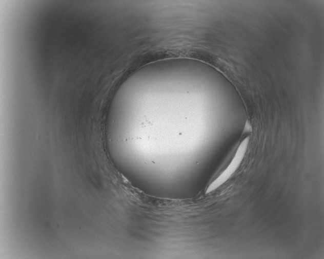 X0000071781057200607150049