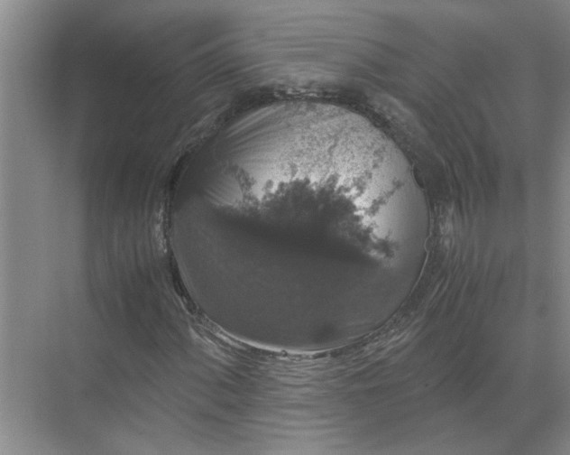 X0000071781060200607150049