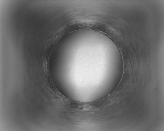 X0000071781061200607150049